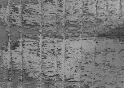 Pastel Wood Negative 25 percent