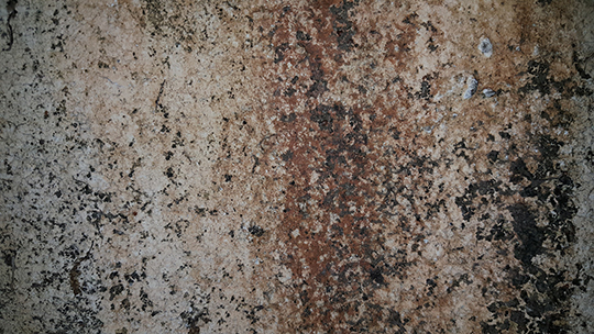 Cemetery Stone Texture 1